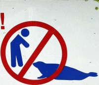 /album/placas-legais/proibido-discutir-com-uma-foca-ao-flutuar-jpg/